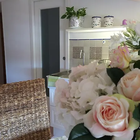 Maison Rose Apartment