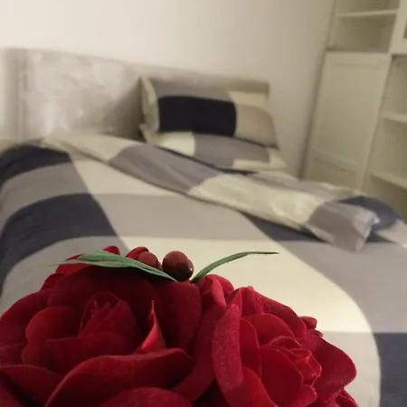 Maison Rose
